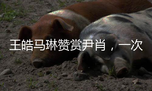 王皓马琳赞赏尹肖，一次跨界的鼓舞与肯定
