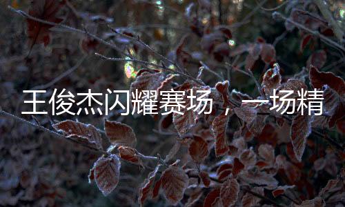 王俊杰闪耀赛场，一场精彩的体育盛宴的三大亮点人物分析之俊杰篇