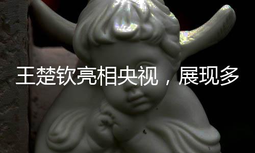 王楚钦亮相央视，展现多元才华引人瞩目