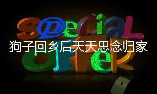 狗子回乡后天天思念归家路，情感牵绊引人心弦