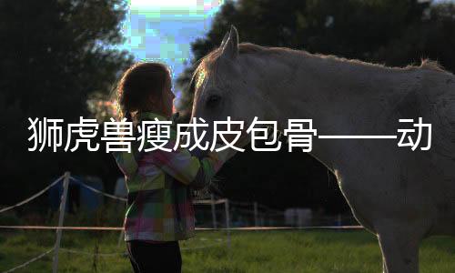 狮虎兽瘦成皮包骨——动物福利与健康引人关注