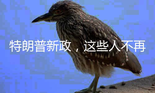 特朗普新政，这些人不再自动获得美国身份