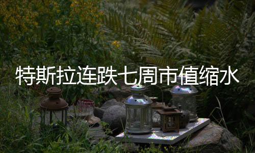 特斯拉连跌七周市值缩水逾半 马斯克回应引发市场热议