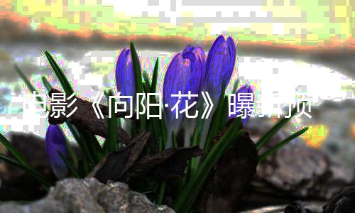 电影《向阳·花》曝新预告 赵丽颖挑战多重职业只为赚够20万