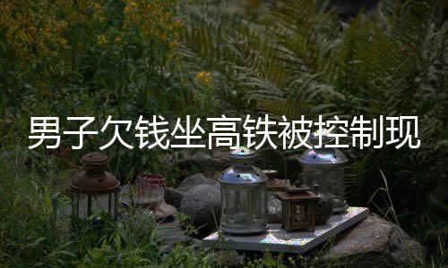 男子欠钱坐高铁被控制现场筹款超五百万的新闻报道