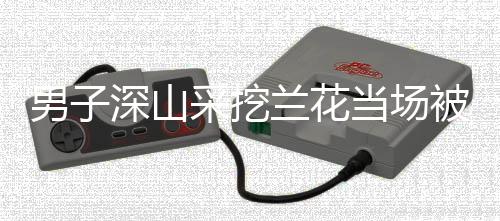 男子深山采挖兰花当场被抓，引发社会关注与热议