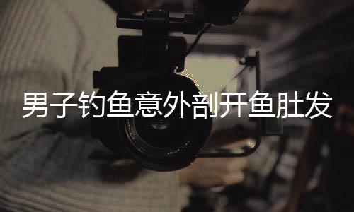 男子钓鱼意外剖开鱼肚发现鱼腹藏有大量假饵，揭示背后奥秘