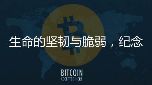 生命的坚韧与脆弱，纪念逝去的抗癌博主