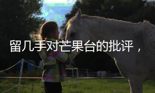 留几手对芒果台的批评，质疑与反思