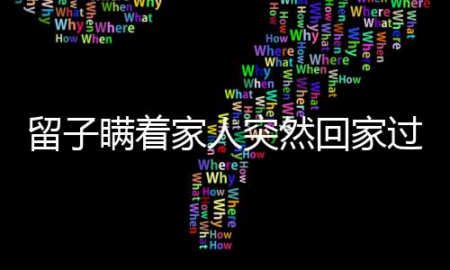 留子瞒着家人突然回家过年，团圆时刻更温馨动人