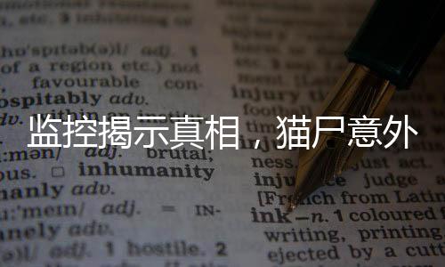 监控揭示真相，猫尸意外发现引发课堂惊变