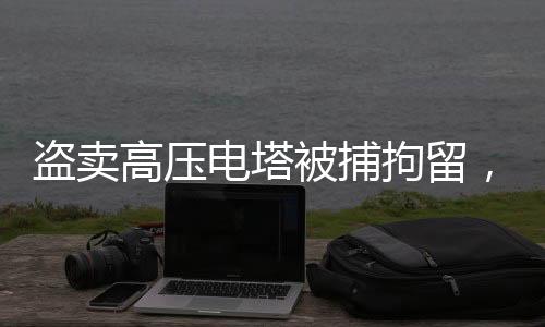 盗卖高压电塔被捕拘留，涉嫌犯罪行为的严重性与警示意义