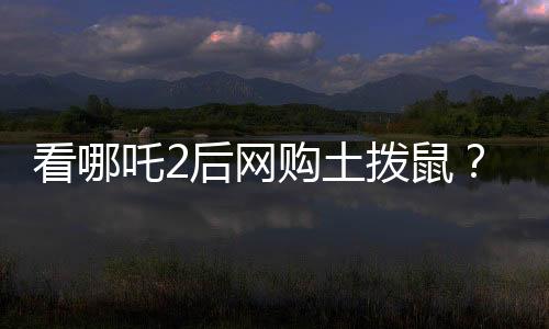 看哪吒2后网购土拨鼠？疾控发声