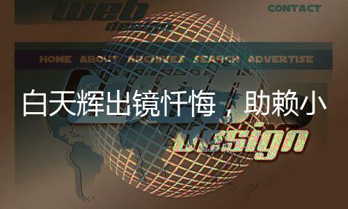 白天辉出镜忏悔，助赖小民完成项目内幕