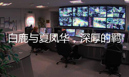 白鹿与夏凤华，深厚的羁绊