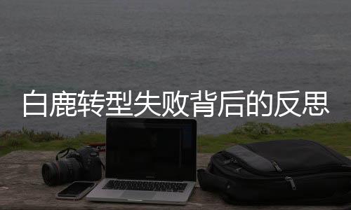 白鹿转型失败背后的反思与挑战未来机遇的道路