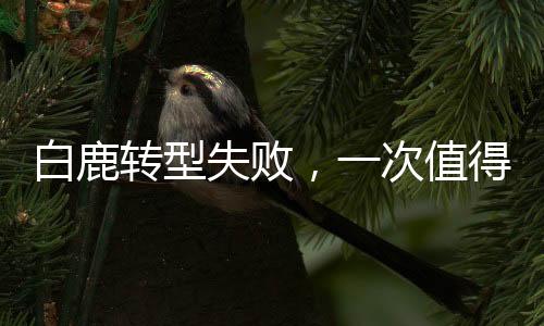 白鹿转型失败，一次值得探讨的艺术挑战