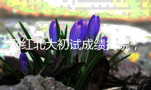 网红北大初试成绩揭晓，412分，引发广泛关注