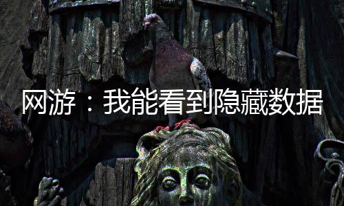 网游：我能看到隐藏数据