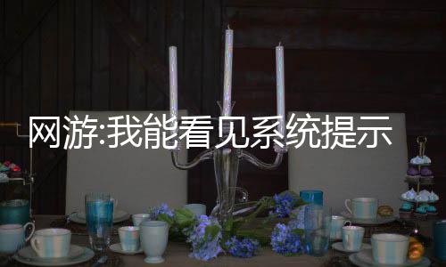 网游:我能看见系统提示