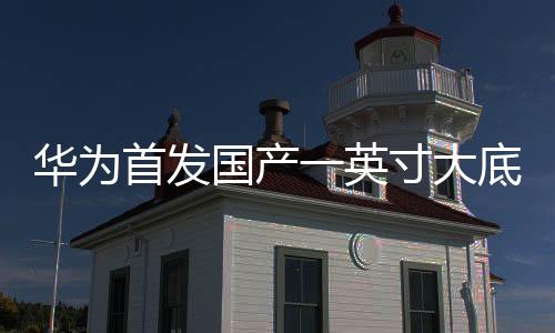 华为首发国产一英寸大底，引领手机摄影新纪元