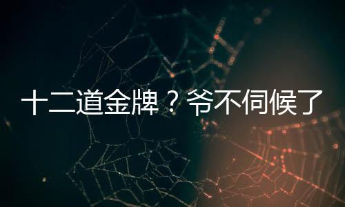 十二道金牌？爷不伺候了！