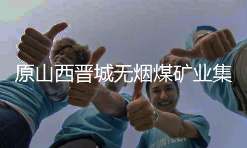 原山西晋城无烟煤矿业集团有限责任公司党委常委、副总经理王保玉被查