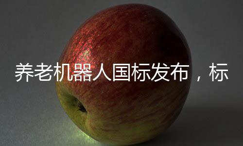 养老机器人国标发布，标准化推动养老科技新纪元