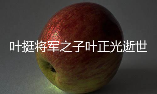 叶挺将军之子叶正光逝世，缅怀一位伟大家族的传承与贡献