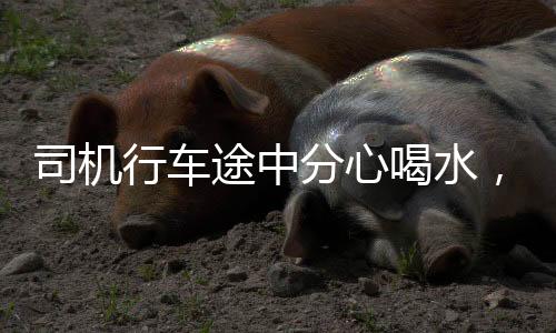 司机行车途中分心喝水，车辆撞山引发大火——一起交通事故的警示