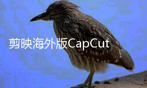 剪映海外版CapCut等应用在美国停服，国际扩张中的挑战与应对