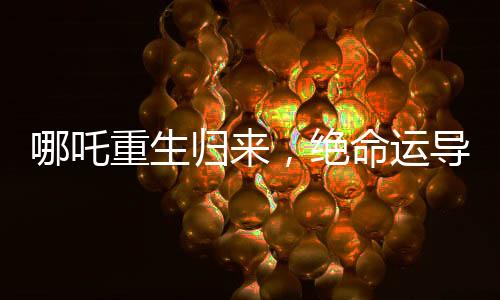 哪吒重生归来，绝命运导留下的悬疑之谜