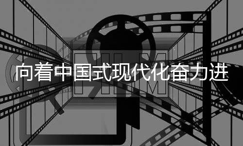 向着中国式现代化奋力进发