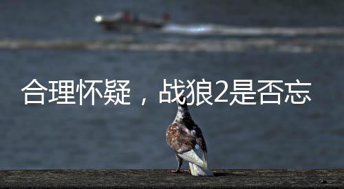 合理怀疑，战狼2是否忘记密码了？一部电影传奇的跌宕起伏与悬念揭秘