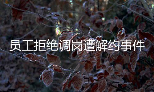 员工拒绝调岗遭解约事件，深度解析与反思