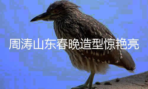 周涛山东春晚造型惊艳亮相，美不胜收