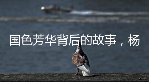 国色芳华背后的故事，杨紫嘴角的小红点之谜