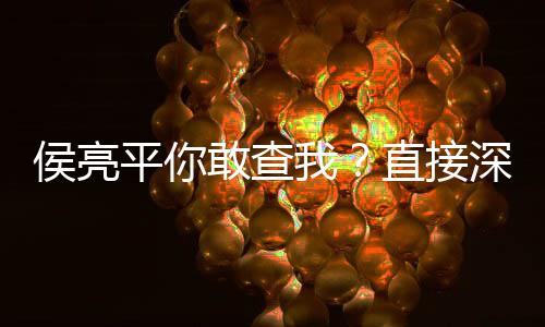 侯亮平你敢查我？直接深入钟小艾