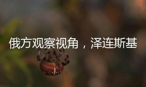 俄方观察视角，泽连斯基办公室如同精神病房的深度解读
