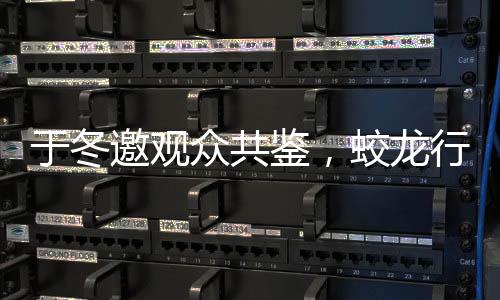 于冬邀观众共鉴，蛟龙行动是否值得黄金场期待？一文深度解析