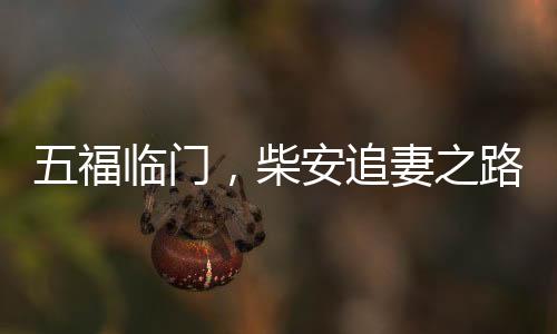 五福临门，柴安追妻之路，用尽所有力气