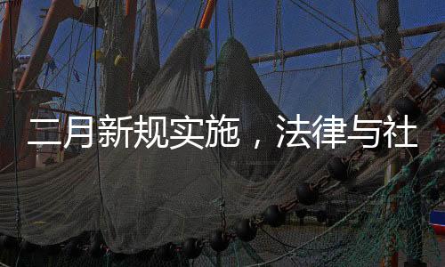 二月新规实施，法律与社会共舞的新篇章