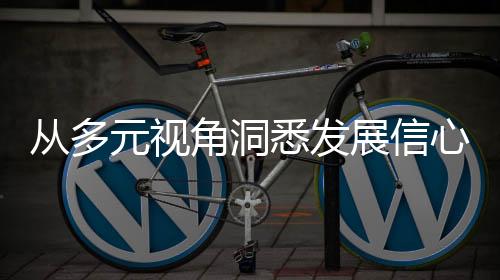 从多元视角洞悉发展信心之源