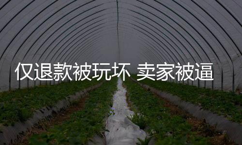 仅退款被玩坏 卖家被逼疯：建议建立商家申诉处理机制