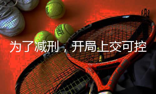 为了减刑，开局上交可控核聚变