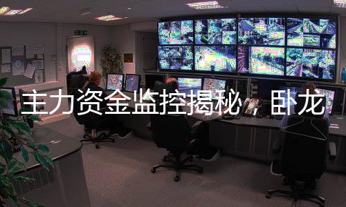 主力资金监控揭秘，卧龙电驱巨额净卖出超过9亿