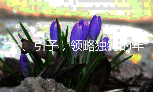 一、引子，领略独特的年味体验与总书记一同品味