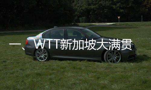 一、WTT新加坡大满贯，赛场风云再掀热潮