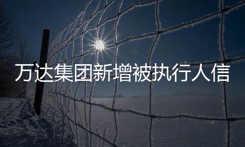 万达集团新增被执行人信息，深入解读与影响分析