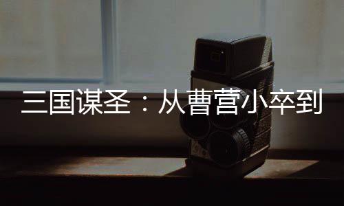 三国谋圣：从曹营小卒到天下谋主